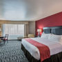 Фото 13 - Holiday Inn Hotel & Suites Anaheim - Fullerton