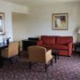 Фото 4 - Hampton Inn & Suites Dallas-Arlington North-Entertainment District