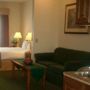Фото 9 - Holiday Inn Express Hotel & Suites Lancaster-Lititz