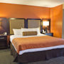 Фото 13 - Crestview Hotel and Suites