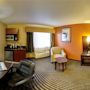 Фото 8 - Crestview Hotel and Suites