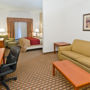 Фото 4 - Comfort Inn & Suites Near Medical Center