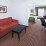 Фото 11 - La Quinta Inn & Suites Dallas Las Colinas