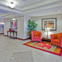 Фото 10 - Holiday Inn Express Orlando - South Davenport
