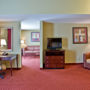 Фото 7 - Holiday Inn Express Orlando - South Davenport