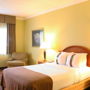 Фото 3 - Holiday Inn Philadelphia South-Swedesboro