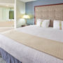Фото 4 - Holiday Inn Hotel & Suites Chicago-Carol Stream/Wheaton