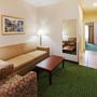 Фото 7 - Holiday Inn Express Hotel & Suites Arlington/Six Flags Area