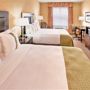 Фото 2 - Holiday Inn Hotel & Suites Memphis-Wolfchase Galleria