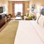 Фото 3 - Holiday Inn Hotel & Suites Memphis-Wolfchase Galleria