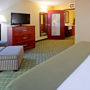 Фото 3 - Holiday Inn Express Hotel & Suites Coon Rapids - Blaine Area