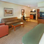 Фото 2 - Holiday Inn Express Hotel & Suites Irving DFW Airport North