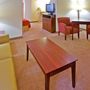 Фото 4 - Holiday Inn Express Hotel & Suites - Irving Convention Center - Las Colinas