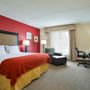 Фото 2 - Holiday Inn Express Hotel & Suites Kodak East-Sevierville