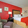 Фото 9 - Holiday Inn Express Hotel & Suites Kodak East-Sevierville