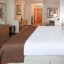 Фото 9 - Holiday Inn Hotel & Suites Savannah Airport-Pooler