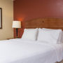 Фото 8 - Hampton Inn Stafford