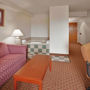 Фото 12 - Holiday Inn Express & Suites Allentown-Dorney Park Area