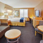 Фото 12 - Holiday Inn Express Hotel & Suites Modesto-Salida