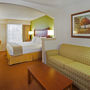 Фото 2 - Holiday Inn Express Hotel & Suites Asheville - Biltmore Square Mall