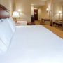 Фото 14 - Holiday Inn Express Hotel & Suites Bridgewater Branchburg