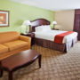 Фото 6 - Holiday Inn Express Peachtree Corners-Norcross