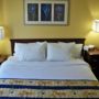 Фото 2 - SpringHill Suites Nashville MetroCenter