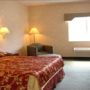 Фото 4 - Ramada Hotel & Suites Glendale Heights