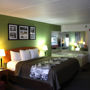 Фото 10 - Sleep Inn & Suites Gatlinburg