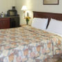 Фото 14 - Americas Best Value Inn and Suites Healdsburg