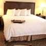Фото 3 - Hampton Inn and Suites Amarillo West