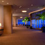 Фото 11 - The Ritz-Carlton, Fort Lauderdale