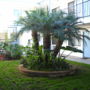 Фото 2 - Palms Courtyard Inn