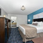 Фото 10 - Best Western Brandon Hotel - Tampa