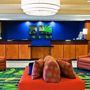 Фото 3 - Fairfield Inn & Suites Tampa Fairgrounds/Casino