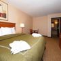 Фото 4 - Comfort Suites Goodyear