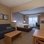 Фото 4 - Comfort Suites Lexington