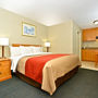 Фото 2 - Comfort Inn Hotel Circle SeaWorld Area