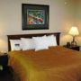 Фото 8 - Homewood Suites by Hilton - Boston/Billerica-Bedford