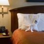 Фото 2 - Homewood Suites by Hilton Chicago-Downtown