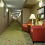 Фото 4 - Homewood Suites by Hilton Chicago-Downtown