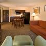 Фото 10 - Comfort Inn & Suites Philadelphia Premium Outlets Area