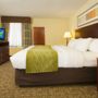 Фото 7 - Comfort Inn & Suites Philadelphia Premium Outlets Area