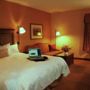 Фото 6 - Hampton Inn & Suites Rochester/Victor