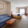 Фото 9 - Holiday Inn Express Rochester-Victor