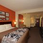 Фото 1 - Sleep Inn & Suites - I-45/ Airtex