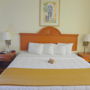Фото 10 - Quality Inn & Suites Sarasota