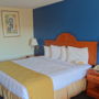 Фото 4 - Quality Inn & Suites Sarasota