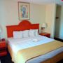 Фото 7 - Quality Inn & Suites Sarasota