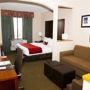 Фото 6 - Comfort Suites Stafford